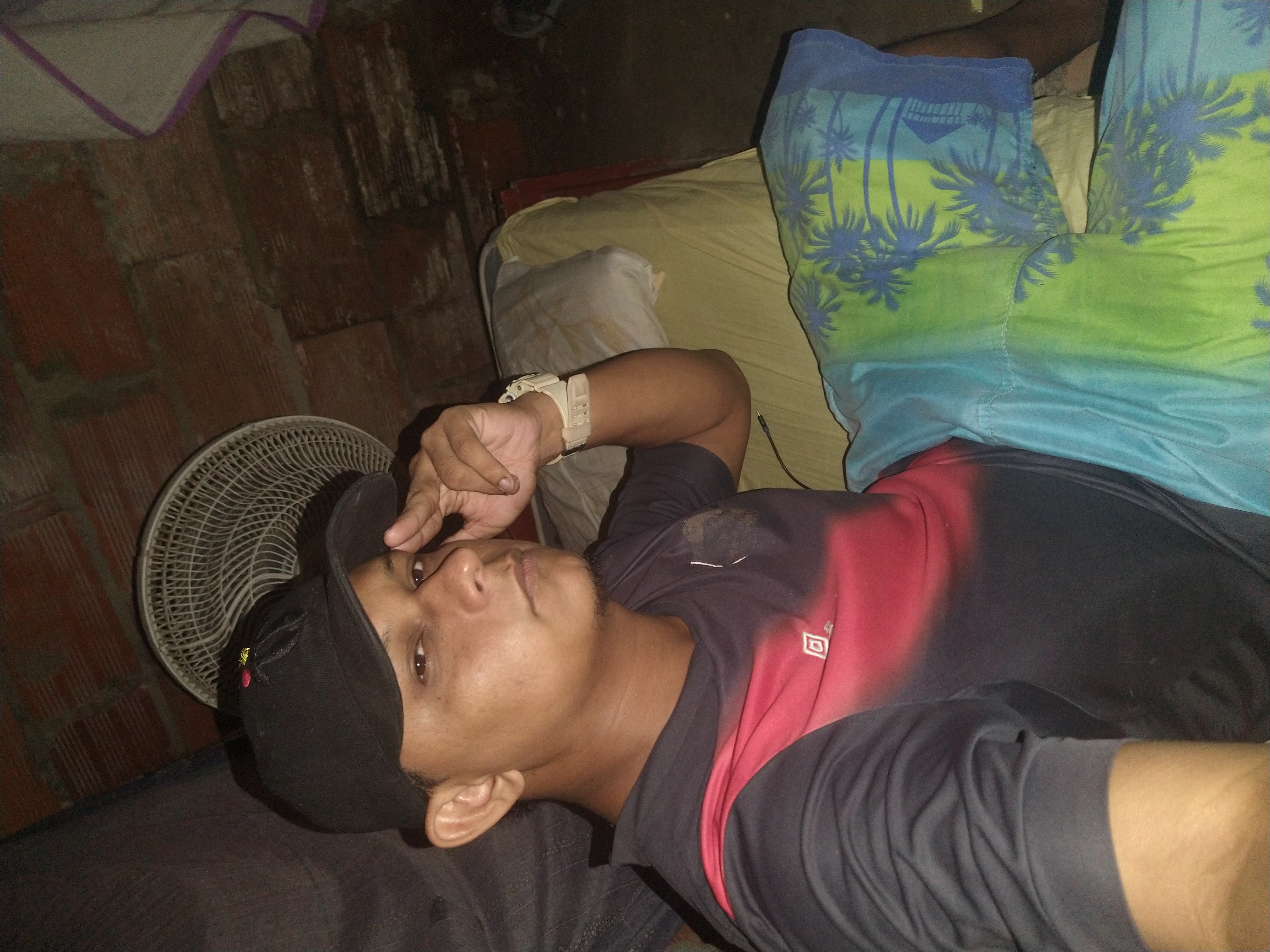 Castaño 